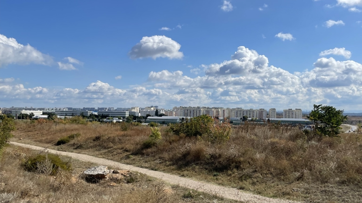 В садовом товариществе «Черемушки» размыло дамбу, в результате ушла вода из пруда